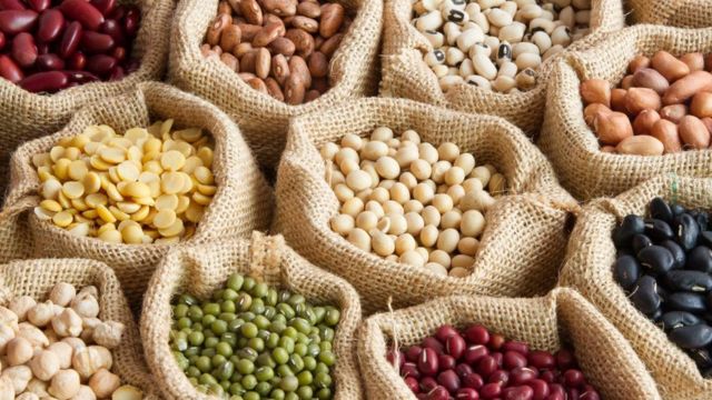 Plant-based diets help prevent Alzheimer's